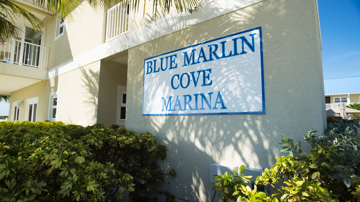 blue marlin cove sign