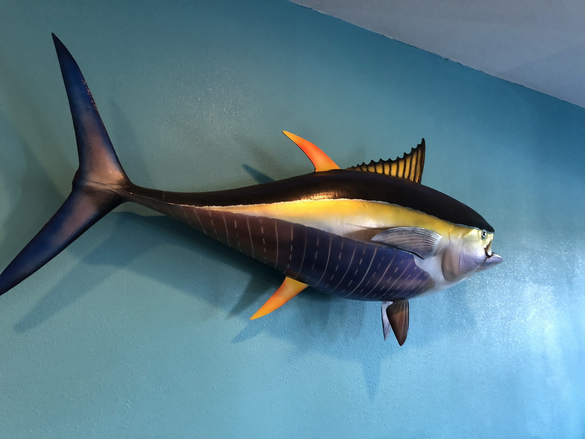blue marlin on wall