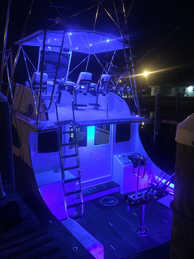 blue marlin cove fishing boat with nighttime lighting