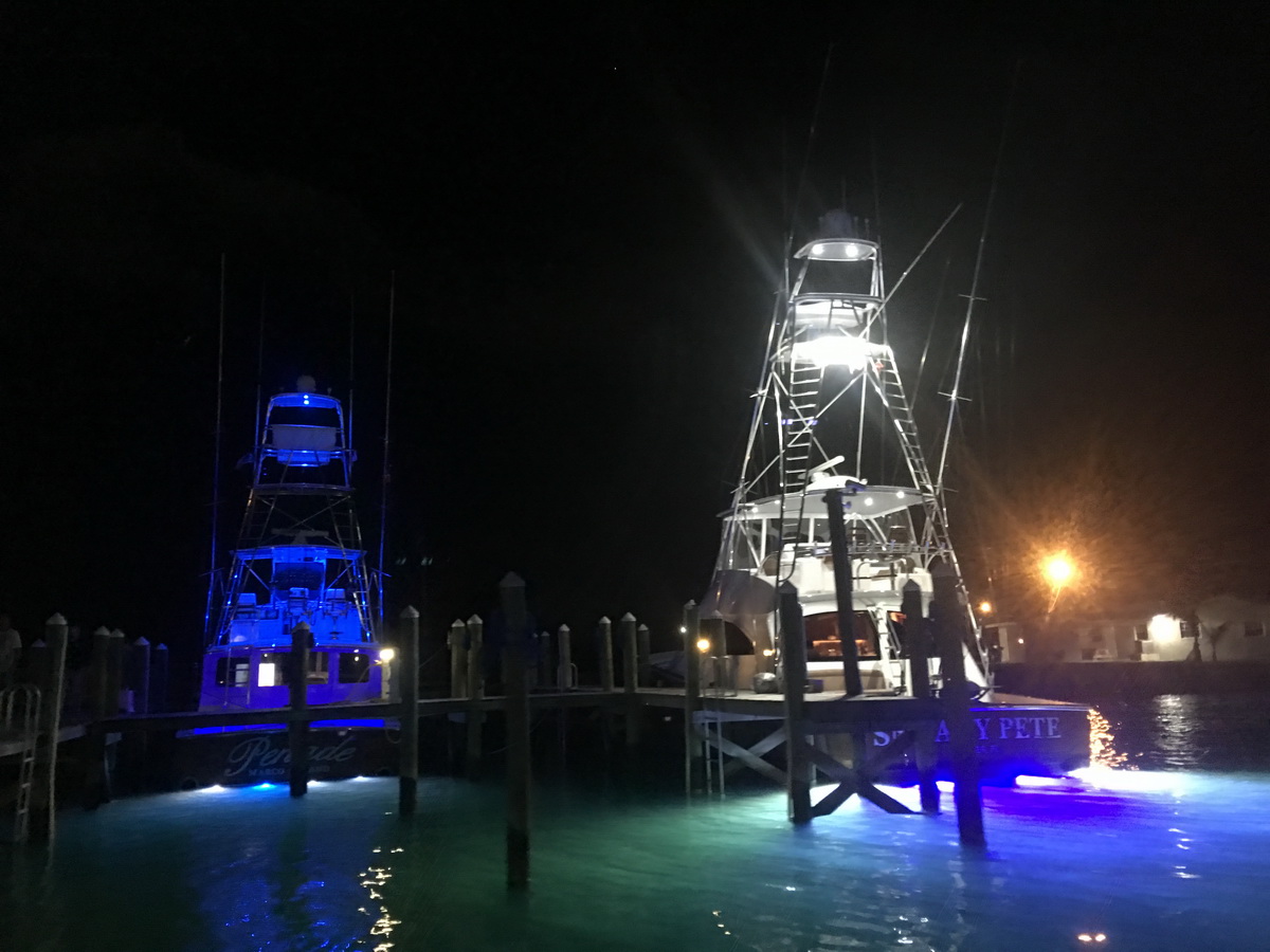 blue marlin cove boats lit at night