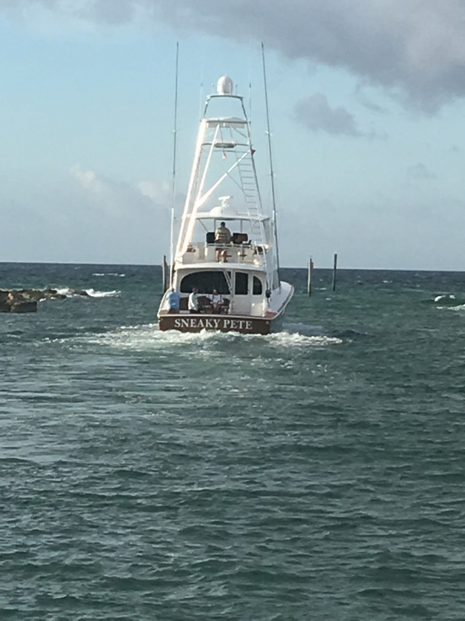 blue marlin cove sneaky pete fishing expedition
