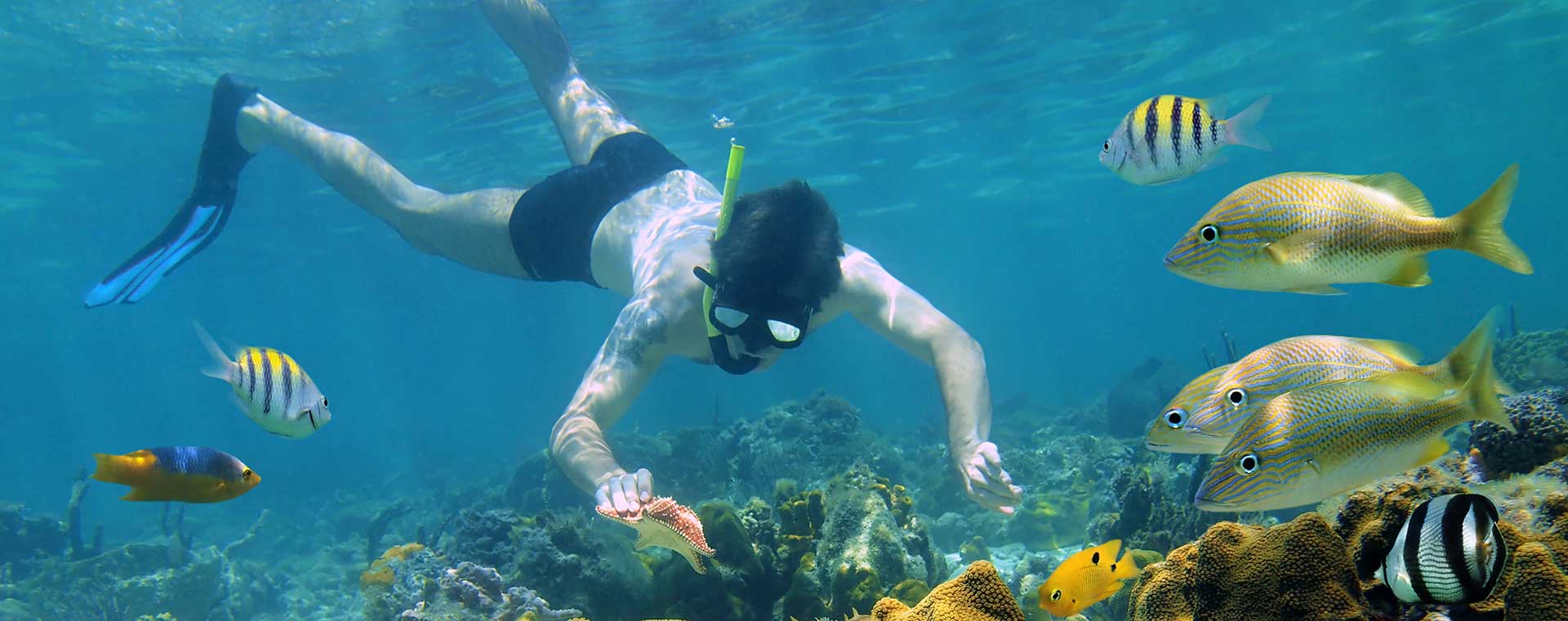 snorkeling