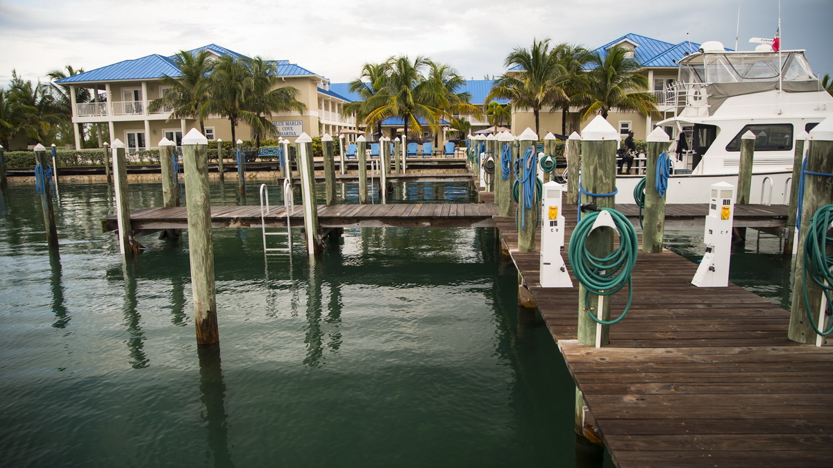 blue marlin cove dock