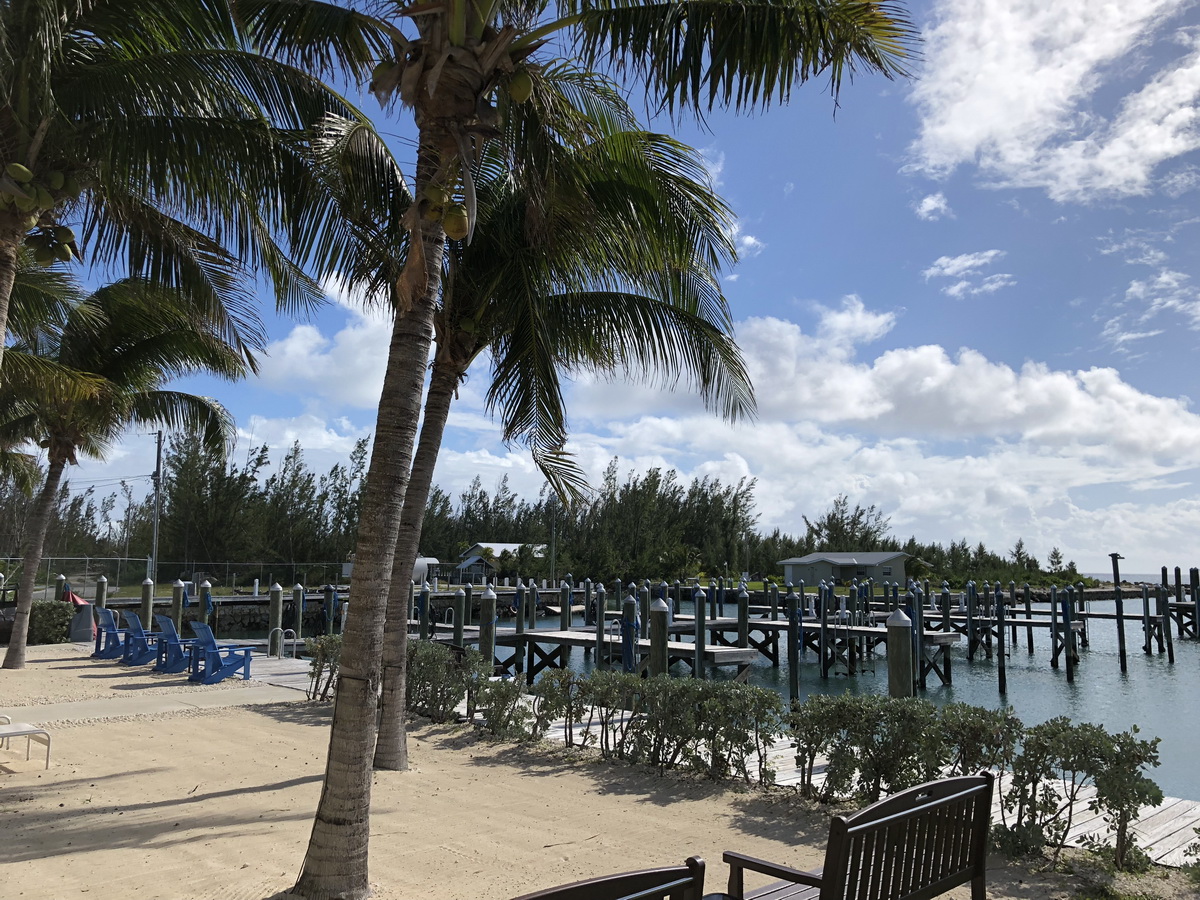 blue marlin cove outdoor seating