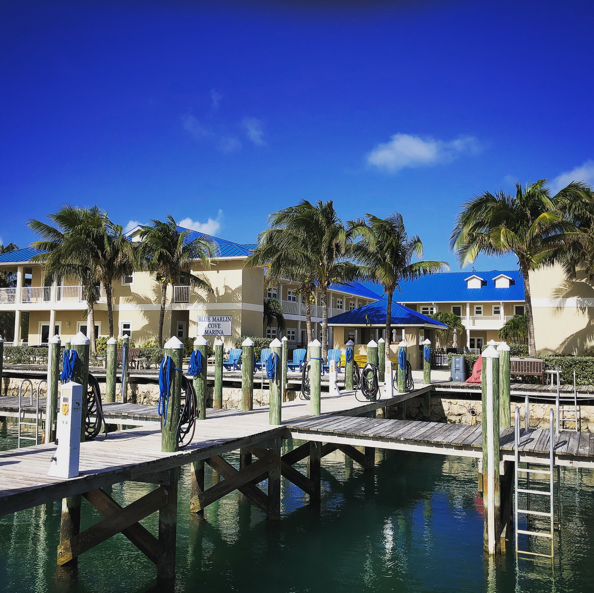 blue marlin cove boat slips close up