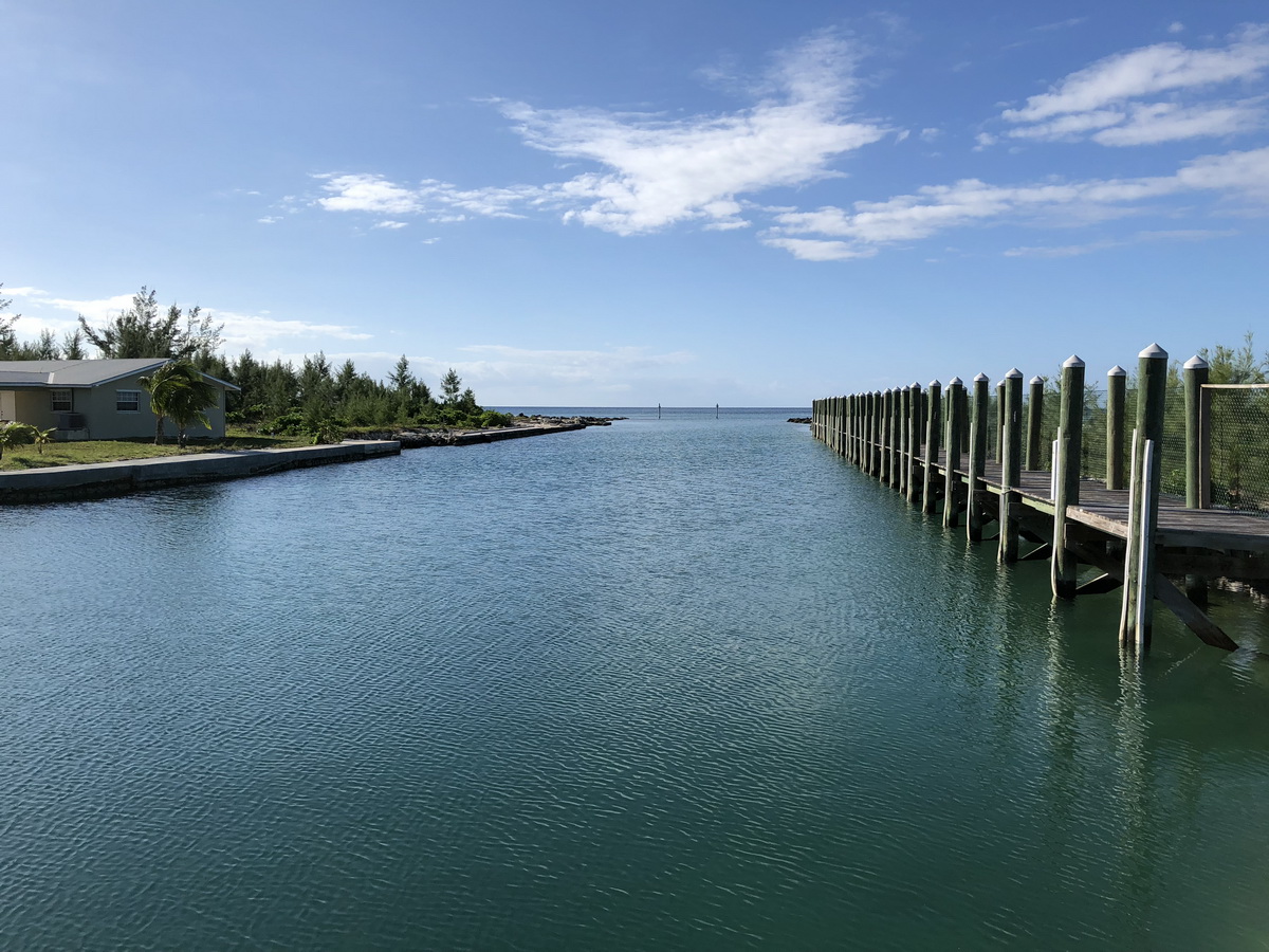 blue marlin cove view of grand bahama