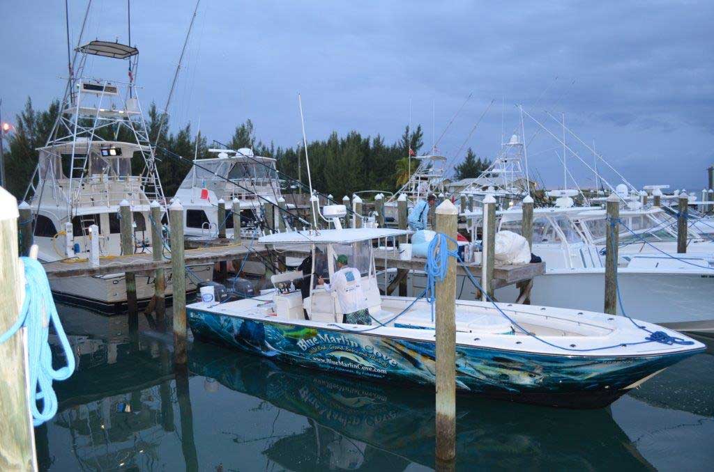 blue marlin cove boat