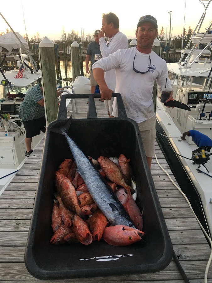 blue marlin cove wheelbarrow with fish