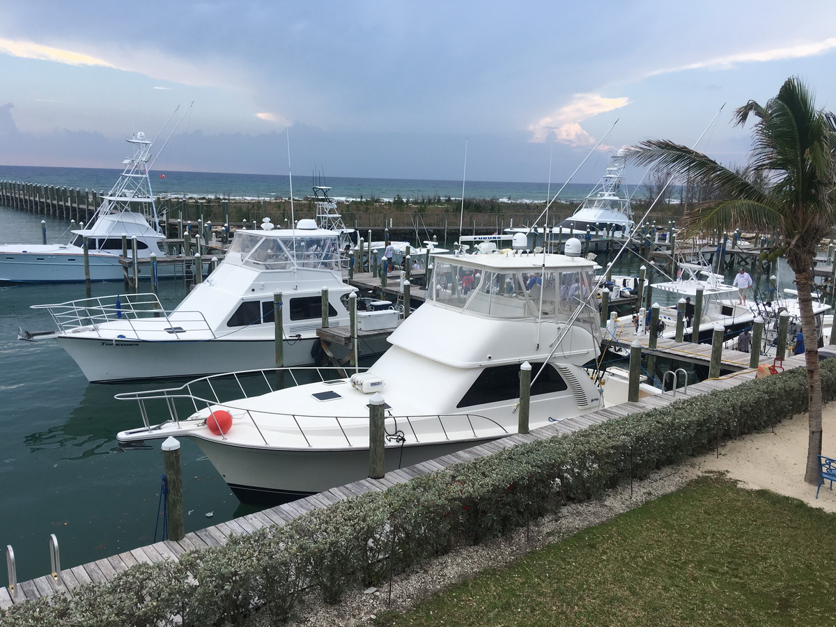 boats of all sizes at blue marlin cove marina