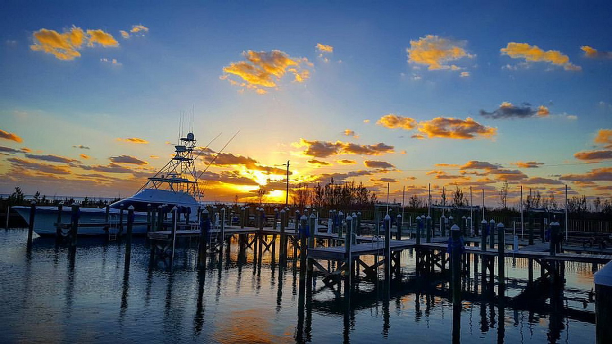 blue marlin cove marina at night